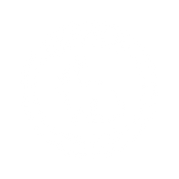 Cruelty Free